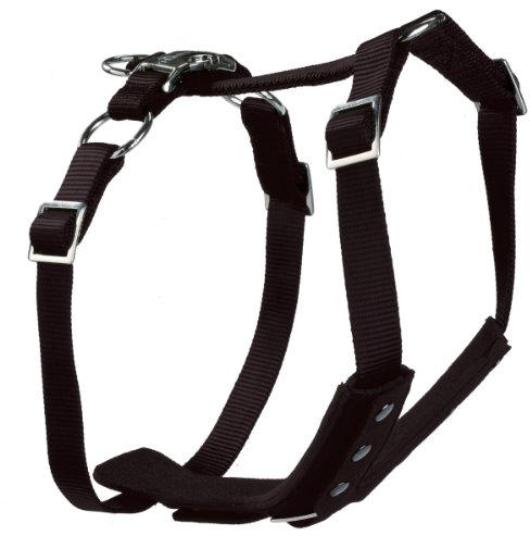 HUNTER EASY COMFORT Befestigungsgeschirr, S, 45-60 cm, schwarz