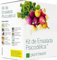Plant Theatre Kit de Ensalada Psicodélica - 5 fantásticas verduras de ensalada para crecer - Gran Regalo