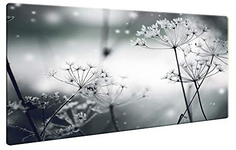 Herdabdeckplatte Abdeckung Ceranfeld Abdeckplatte Schneidebrett 1-Teilig 80x52 Pusteblume Wilder Dill Grau Spritzschutz Glasplatte Ceranfeldabdeckung Herdschutz Sicherheitsglas Glasschneidebrett