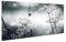 Herdabdeckplatte Abdeckung Ceranfeld Abdeckplatte Schneidebrett 1-Teilig 80x52 Pusteblume Wilder Dill Grau Spritzschutz Glasplatte Ceranfeldabdeckung Herdschutz Sicherheitsglas Glasschneidebrett