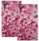 Giwawa Geschirrtücher mit rosa Kirschblüten – Frühlings-Sakura-Blume, Küchentücher, Set mit 2 Aquarell-Blumen-Waschlappen, Blumen, Handtücher für Badezimmer, Spa