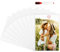 LUEUSE 10 Cadres Photo Magnétiques, Photo 10x15 cm (A6), Magnets Photo Cadre Aimanté, Pochette Photo Transparente pour Réfrigérateur Tableau Casier, Aimant Personnalisable, Pele Mele Magnétique, Blanc