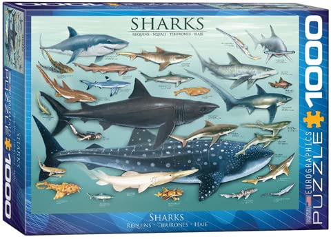empireposter Haie der Ozeane - 1000 Teile Puzzle im Format 68x48 cm + Puzzle Alu Rahmen für 1000er