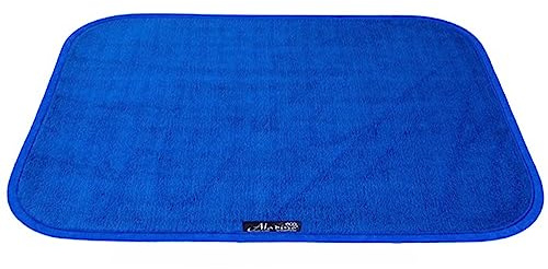Aladino il tappeto Magico Schmutzfangmatte, Fußmatte Innen Und Außen | Für Bad, Küche Und Zuhause, Maschinenwaschbar, Ultra Saugfähig, Made In Italy, Verschiedene Größen, Rutschfest 50x65 cm Blau