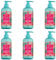 TESORI D'ORIENTE Flüssigseife Seife Handseife Ayurveda Ritual Cremeseife 6 x 300 ml aromatische Flüssigseife im Pumpspender Wellness-Rituale für Körper & Sinne
