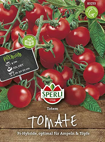 Tomatensamen - Tomate Totem F1 Hybride von Sperli-Samen