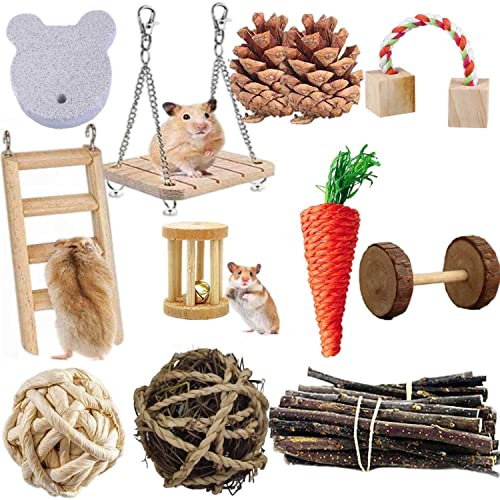ACLUYSKA Hamster Guinea Pig Toys, 21PCS Small Animal Activity Chew Toys Accessories Molar Teeth Care Natural Apple Wood Ladder Bell Roller for Dwarf Hamsters Rat Chinchillas Gerbils Bunnies (21PCS)