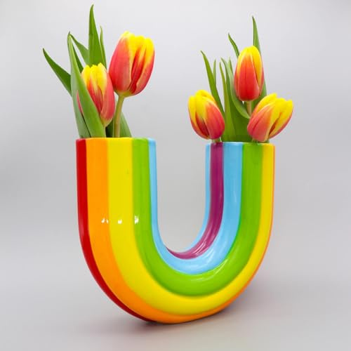 BEIJIALY Regenbogen-Vase, Heimdekoration, Regenbogen-Deko-Vase, Einzigartige Blumenvase, Trockenblumen-Vasen, U-förmige Dekorative Harzvase für Blumenarrangements, Heimdekoration