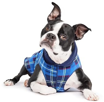 Gold Paw Duluth Double Fleece Hundemantel Pullover - Weiche, warme Hundekleidung, 4-Wege-Stretch-Haustierpullover - Maschinenwaschbar, Ganzjahreszeiten, Blau kariert/Marineblau, Größe 22