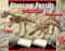 CAROUSEL 2-in-1 Deluxe-Ausgrabungsset für Dinosaurier, Skelett, Fossil, Paläontologie, Archäologie, Ausgrabungsset, T-Rex und Stegosaurus