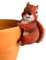 Wrenbury Red Squirrel Garden Ornament - Plant Pot Hanger - 15cm Weatherproof Resin Figurine - Sammy the Red Squirrel Gifts for Women