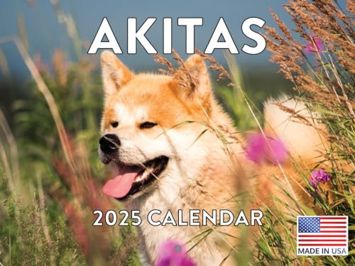 Akita Kalender 2024 Wandkalender