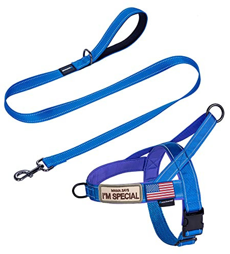 Annchwool Hundegeschirr gegen Ziehen, mit gepolstertem Griff und 152 cm Leine, reflektierenden Streifen, ausbruchsicher und schnell anpassbar, leicht zu trainieren, für Spaziergänge für kleine,