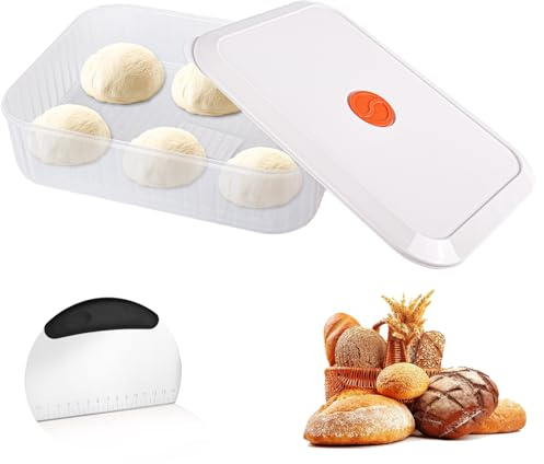 Trendecor Pizzaballenbox mit Deckel, Pizzateig Box mit Edelstahl Teigkarte 31×23×9 cm Teigballenbox mit Datumsaufzeichnung für Pizzaballen oder andere Teigarten Bleiben Sie Frisch