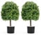ybaymy Künstliche Pflanze Buchsbaum 60 cm Kunstpflanze Buchsbaumkugel UV Geschützt Kunstbaum für Home Wohnzimmer Balkon Garten Außendekoration (2 Pack)