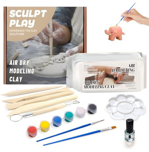 Miioto Bastelton Lufttrocknend, Ton Selbsttrocknend, Ton zum Töpfern Lufttrocknend | Starter-Set Mit Modellier-Werkzeug, Trockenton, Farben & Pinsel | Geschenke für Geburtstage, Kreativprojekte, DIY