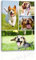 CCWACPP Personalisierte Collage Foto Leinwand Kunstdrucke individuelle Leinwanddrucke mit Ihren Multi Fotos individuelle Wandbilder Dekoration 40x60 cm