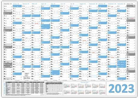 Wandkalender/Wandplaner 2025 (hellblau) gerollt DIN A0 Format (841 x 1189 mm) 14 Monate, komplette Jahresvorschau Folgejahr und Ferientermine/Feiertage aller Bundesländer