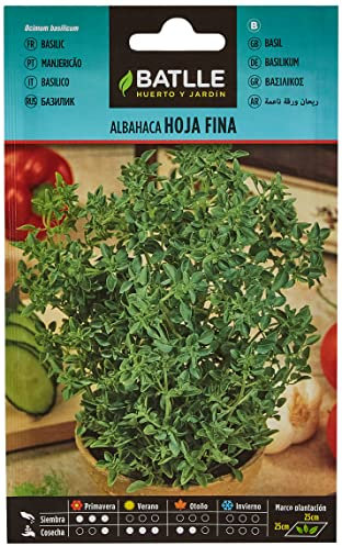 Graines aromatiques de Batlle - Basilic feuille fine (3g)