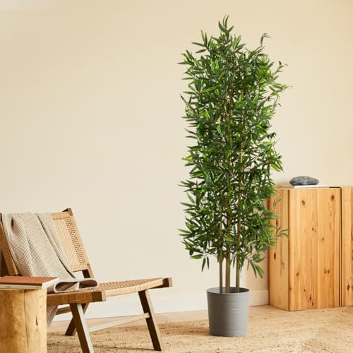 BLAINE | Bambú Japones 180cm | Plantas Artificiales Decorativas | Planta Artificial Grande | Plantas Artificiales para Interior/Exterior | Planta Artificial Realista Decorativa para Casa