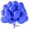 BIO Luftballons Blau • [100 Stück] • MADE IN EU • Premium Ballons aus 100% reinem Naturlatex • Helium Luftballons Bunt • aus natürlichen Rohstoffen • Luftballons Geburtstag • Blauer Luftballon