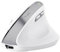 TRUST BAYO II Souris ergonomique sans fil Blanc