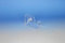 WEDO 69 916 Acryl Transparent Abroller Klebeband – nachfüllbaren Klebstoffe (Acryl, transparent, 150 mm, 62 mm, 80 mm)