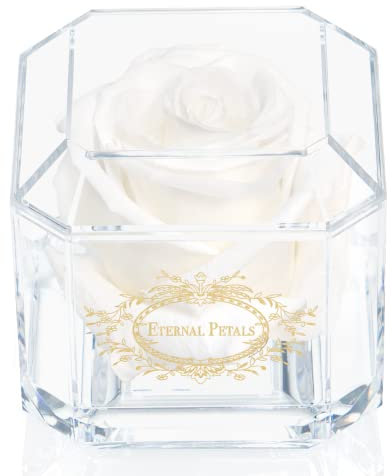 Eternal Petals Solo - A Real Rose That Lasts A Year - Perfect Unique Gift for Women, Men, Birthday Gift (White)