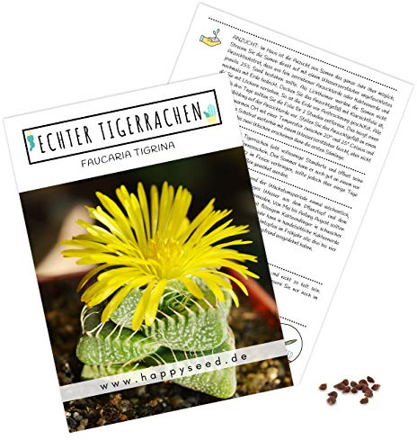 Semi di cactus esotici ad alto tasso di germi – Set di semi di piante grasse per il vostro cactus meravigliosamente fiorito.