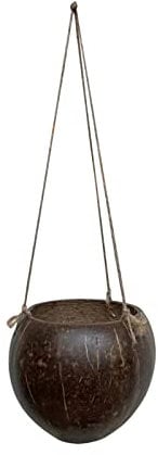 Pots suspendus, pot de fleurs en coquille de noix de coco, pot suspendu durable, cordes en coton, artisanat délicat, patio, jardin, véranda, balcon