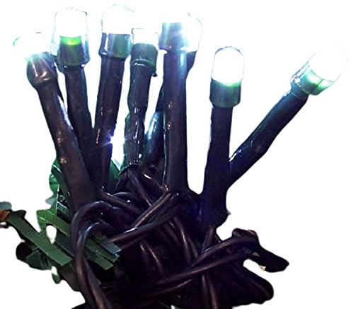 F-H-S International GmbH & Co. KG LED Mini-Lichterkette 20er kaltweiß/grün ein Strang innen 09236