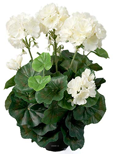 Artificielles.com Künstliche Geranie, 6 Köpfe im gewichteten Topf, Höhe 35 cm, wunderschöne Blätter, cremefarben