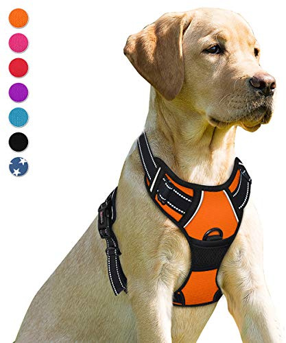 BARKBAY Dog Harness No-Pull Pet Harness Adjustable Outdoor Pet Vest Front Clip Heavy Duty 3M Reflective Oxford Material Vest for Dogs Easy Control for Small Medium Large(Orange,M) Dogs(Orange,M)
