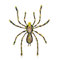 Broche araignée punk pour femmes et filles - Cristal vert CZ insecte araignée épinglette épinglette épinglette araignée Halloween accessoires bijoux cadeaux, Métal, Zircon cubique