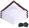 Neegaurd 3 x 3m Bâche Transparente avec œillets - Étanche à la poussière - avec œillets - Bâche étanche aux intempéries - Protection Contre Le Vent et la Pluie - pour terrasse, pavillon, Serre