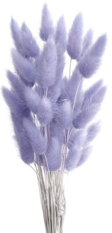 FENGCHUANG Herbe de Queue de Lapin Séchée, Herbe De La Pampa Fleurs Séchées, 50 Pcs Ne Se Fanent Jamais Fleur Sechees pour Décoration de Maison, Mariage (Violet Clair)