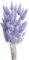 FENGCHUANG Pampasgras Getrocknet Trockenblumen, 45cm 50 Stück Getrocknete Natürliche Pampasgras Pflanzen Flauschige Trockenblumen (Hellblau)