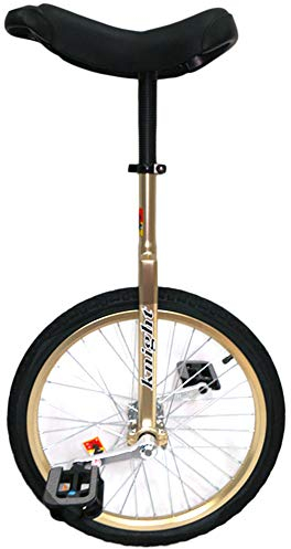 Radtrainer-Einrad, 24 Zoll, große Einräder für Erwachsene und Kinder (Körpergröße 160–195 cm) – Uni Cycle, einrädriges Fahrrad für Männer, Frauen, Teenager, Jungen, Fahrer, bestes Geburtstagsges