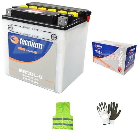 KOMPATIBEL MIT Harley Davidson FLHR Electra Glide Road King 1340 pro Jahr 1997 al 1998 Batterie TECNIUM BB30L-B YB30L-B KOMPLETT FÜR DIE VERWENDUNG VON BATTERIEN 30 Ampere 12 Volt 168X132X176MM