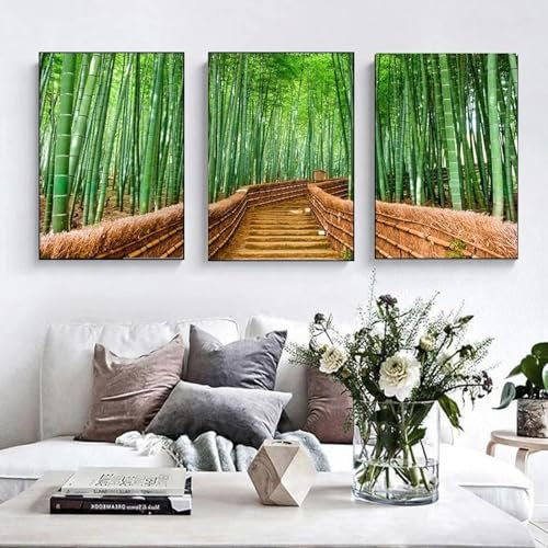 ZHAOLIN 3 Tafeln Landschaft Bambus Waldweg Wilde Landschaft Leinwand Malerei Poster und Drucke Wandkunst Bilder Wohnzimmer Dekor 80X110cm (31x43in) X3 Rahmenlos