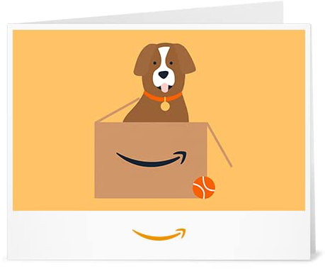 Amazon Gift Card - Print - Zoo Animals