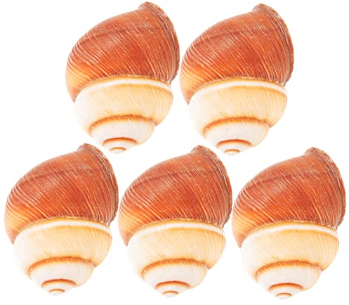 POPETPOP 5 Pièces Coquille D'escargot Français Bouteille Sauce Sushi Servir des Coquilles Plat à Escargots Coquilles De Portion Vide Assiette D'escargot Géant Coquille D'escargot Naturelle