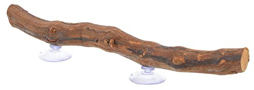 Toddmomy Support en Bois De Vigne – Décoration pour Reptiles Jouet pour Dragon Barbu Jouet Descalade pour Lézard en Coupe