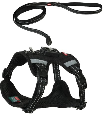 Zolux Hundegeschirr mit Leine Clip and Go, Magnetsystem, XS, Schwarz, atmungsaktiver Stoff, Halsumfang 32-38 cm, Brustumfang 36-45 cm, für Hunde 4-10 kg