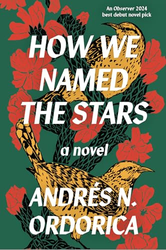 How We Named the Stars: One of the Observer’s 2024 Top Ten Debuts