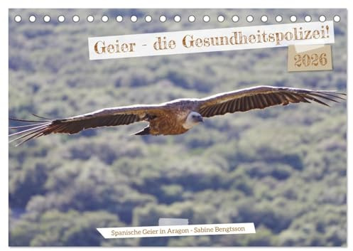 Geier - die Gesundheitspolizei! (Tischkalender 2026 DIN A5 quer), CALVENDO Monatskalender: Geier sind ganz anders, als das Bild, das wir von ihnen haben! (CALVENDO Tiere)