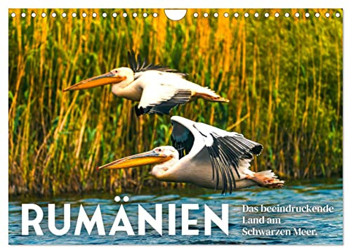 Rumänien - Das beeindruckende Land am Schwarzen Meer. (Wandkalender 2026 DIN A4 quer), CALVENDO Monatskalender: Bären, Dracula unberührte Natur. (CALVENDO Orte)