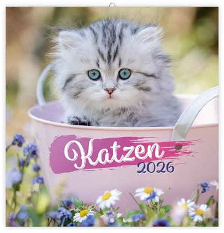 Trötsch Broschürenkalender Katzen 2026: Wandplaner