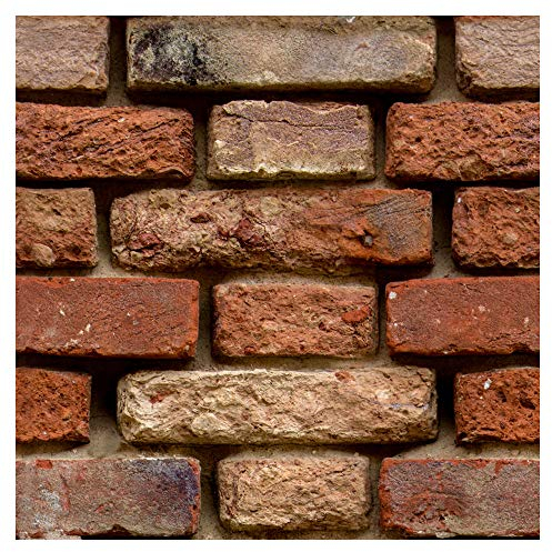 murando - Vlies Tapete 10m Foto Schlafzimmer Wohnzimmer Moderne Vliestapete XXL Wandtapete Motivtapeten Bildtapete Wand Dekoration - Mauer Ziegel f-A-0187-j-b