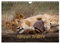 Kenyan Wildlife (Wandkalender 2025 DIN A4 quer), CALVENDO Monatskalender